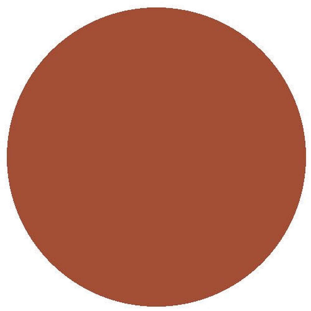 RailMatch Paint - 2236 Late Dark Bauxite Acrylic 18ml