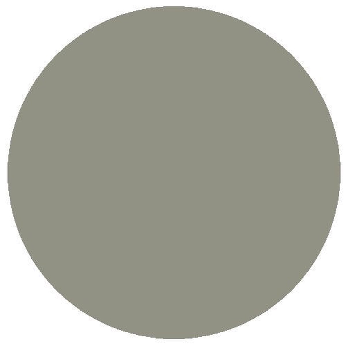 RailMatch Paint - 2245 Flint Grey Acrylic 18ml