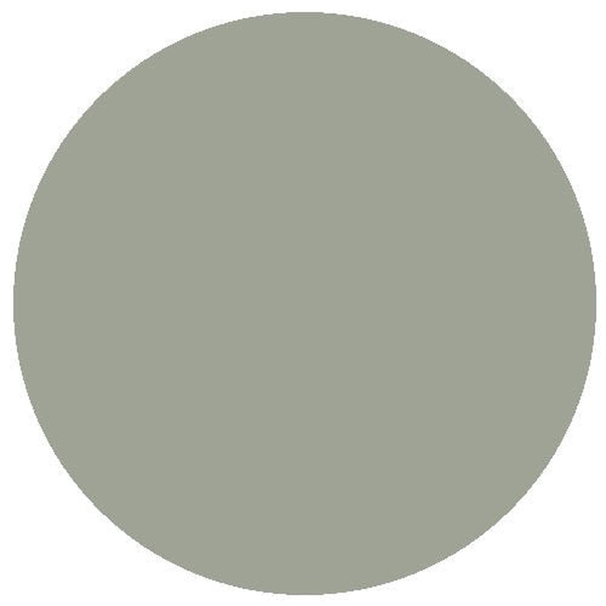 RailMatch Paint - 2276 DB Schenker Grey Acrylic 18ml