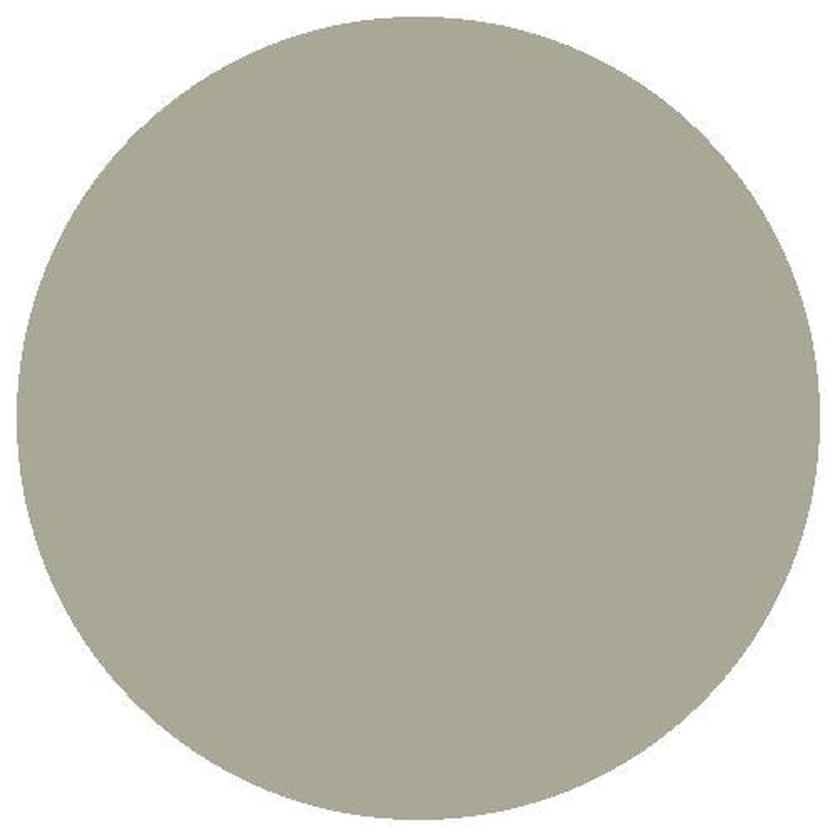 RailMatch Paint - 2320 Diesel Roof Grey Acrylic 18ml