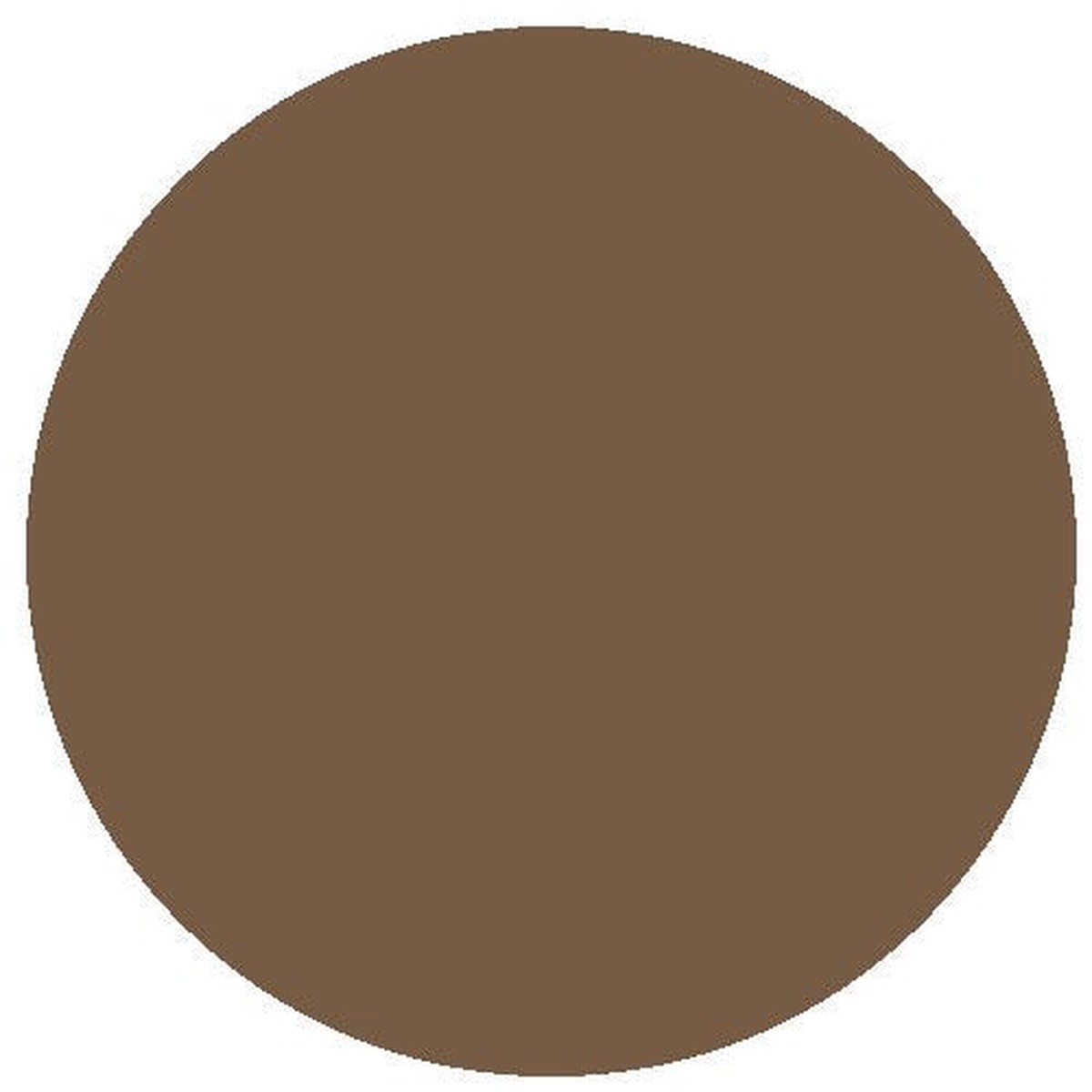 RailMatch Paint - 2402 Frame Dirt Acrylic 18ml
