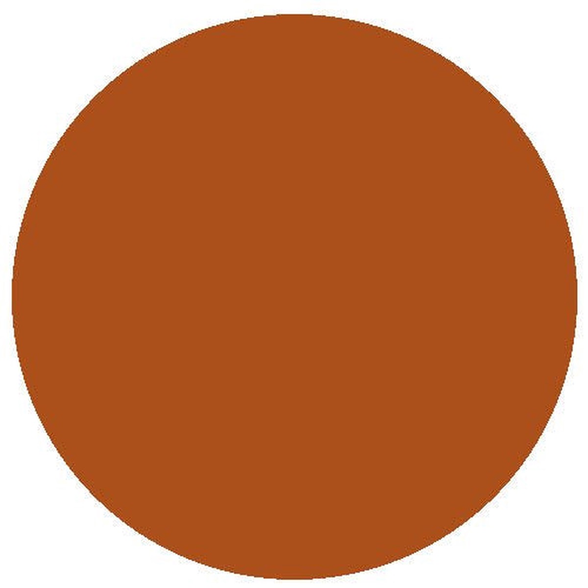 RailMatch Paint - 2404 Light Rust Acrylic 18ml