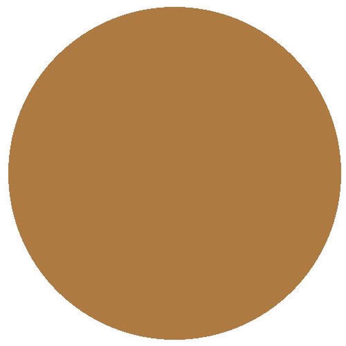 RailMatch Paint - 2416 Brake Dust Acrylic 18ml