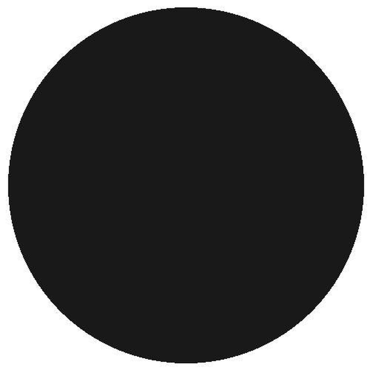 RailMatch Paint - 2420 Coal Black Acrylic 18ml