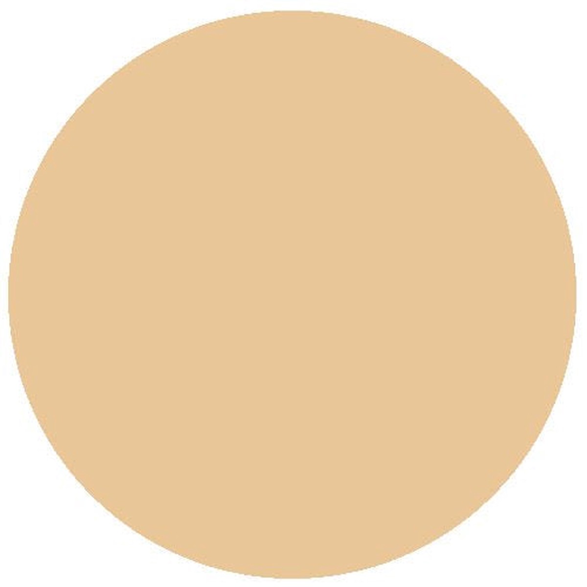 RailMatch Paint - 2425 New Stone Acrylic 18ml