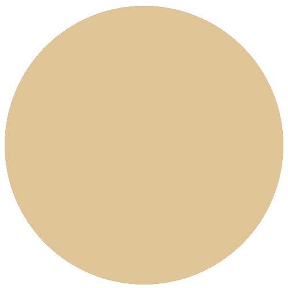 RailMatch Paint - 2426 Weathered Stone Acrylic 18ml