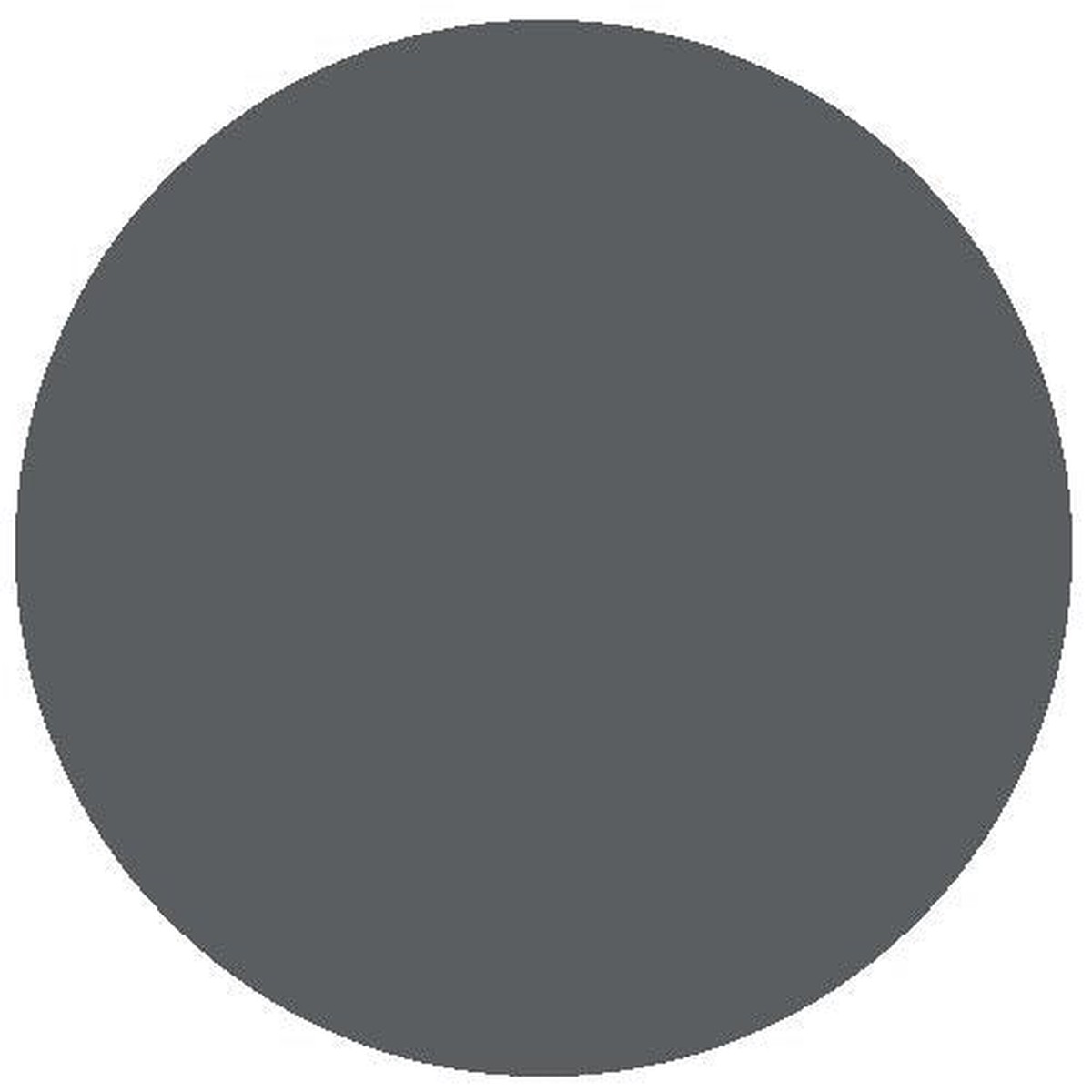 RailMatch Paint - 2429 Slate Acrylic 18ml