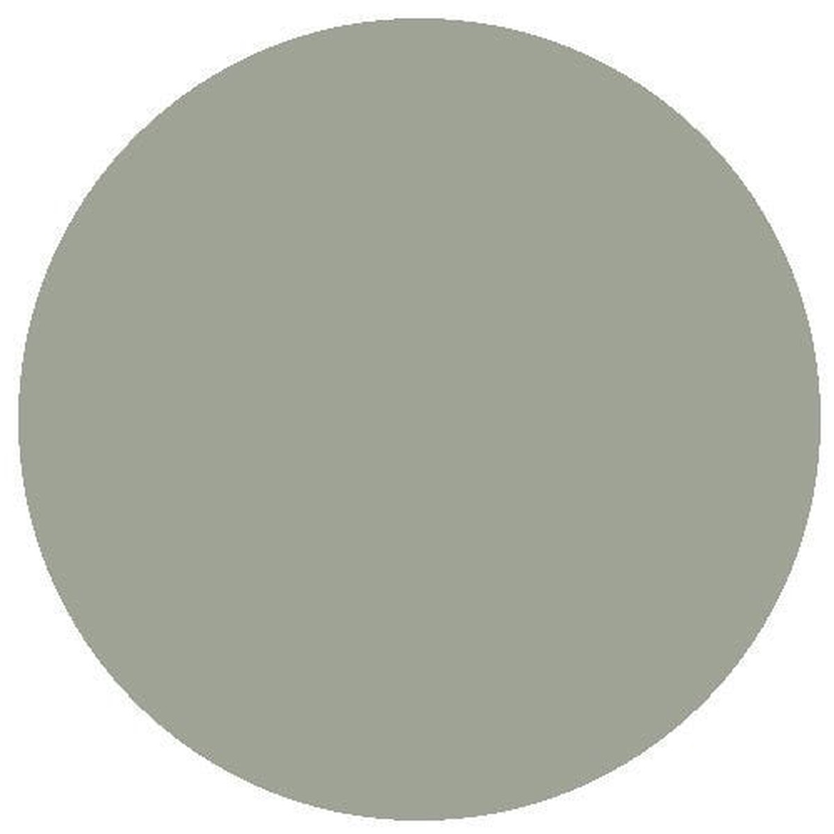 RailMatch Paint - 2604 GWR Freight Stock Grey Acrylic 18ml