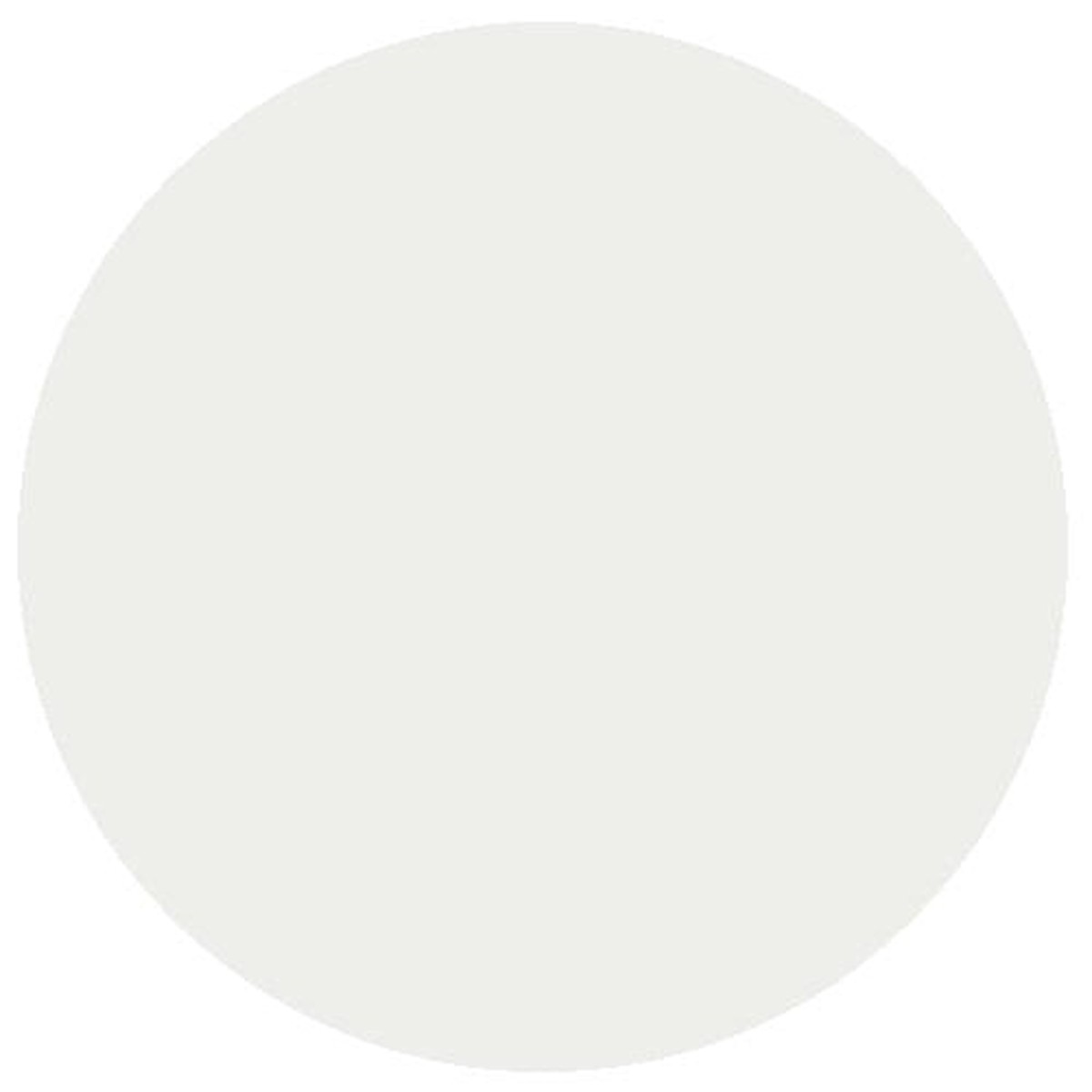 RailMatch Paint - 2605 GWR Stock Roof White Acrylic 18ml