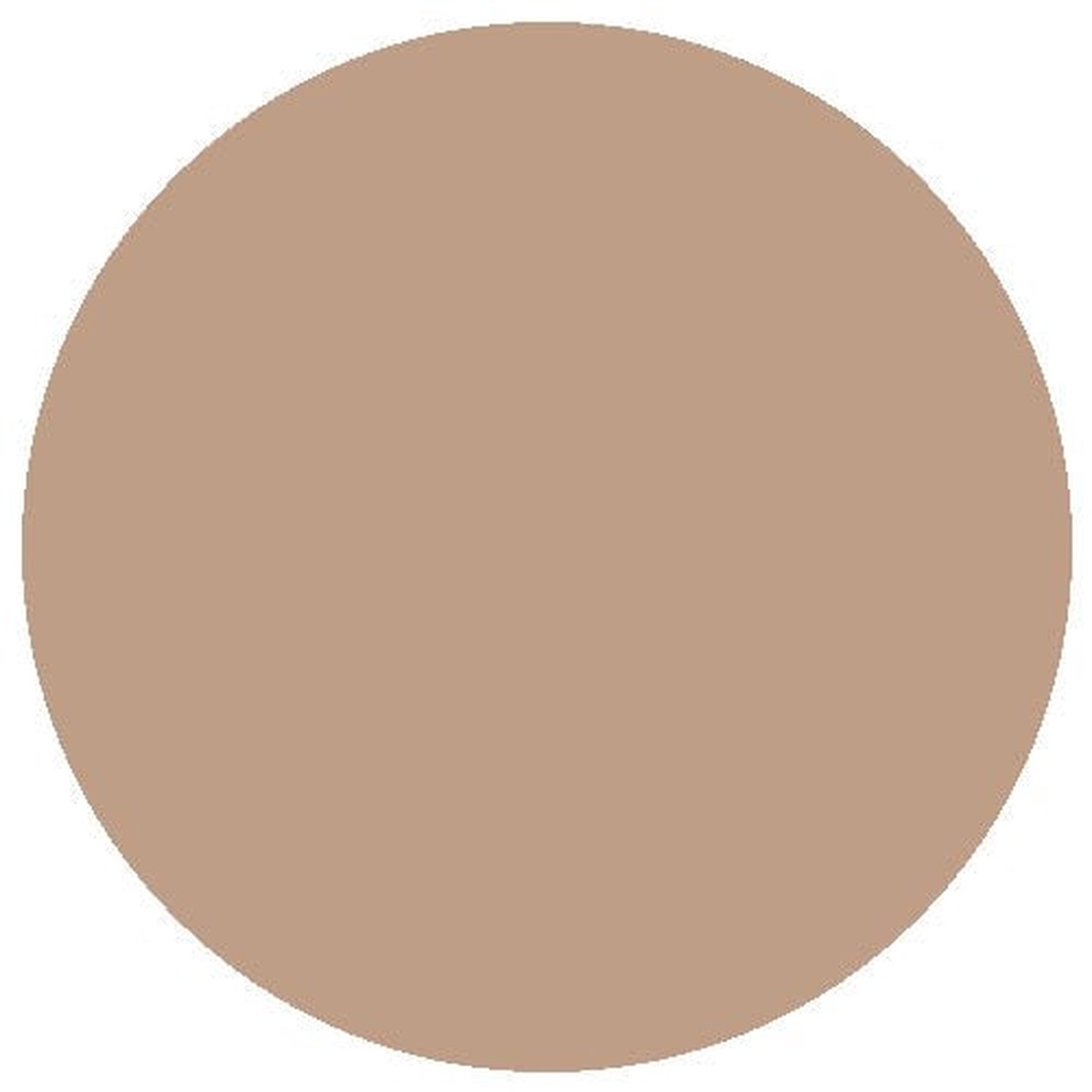 RailMatch Paint - 2607 GWR Dark Stone Acrylic 18ml