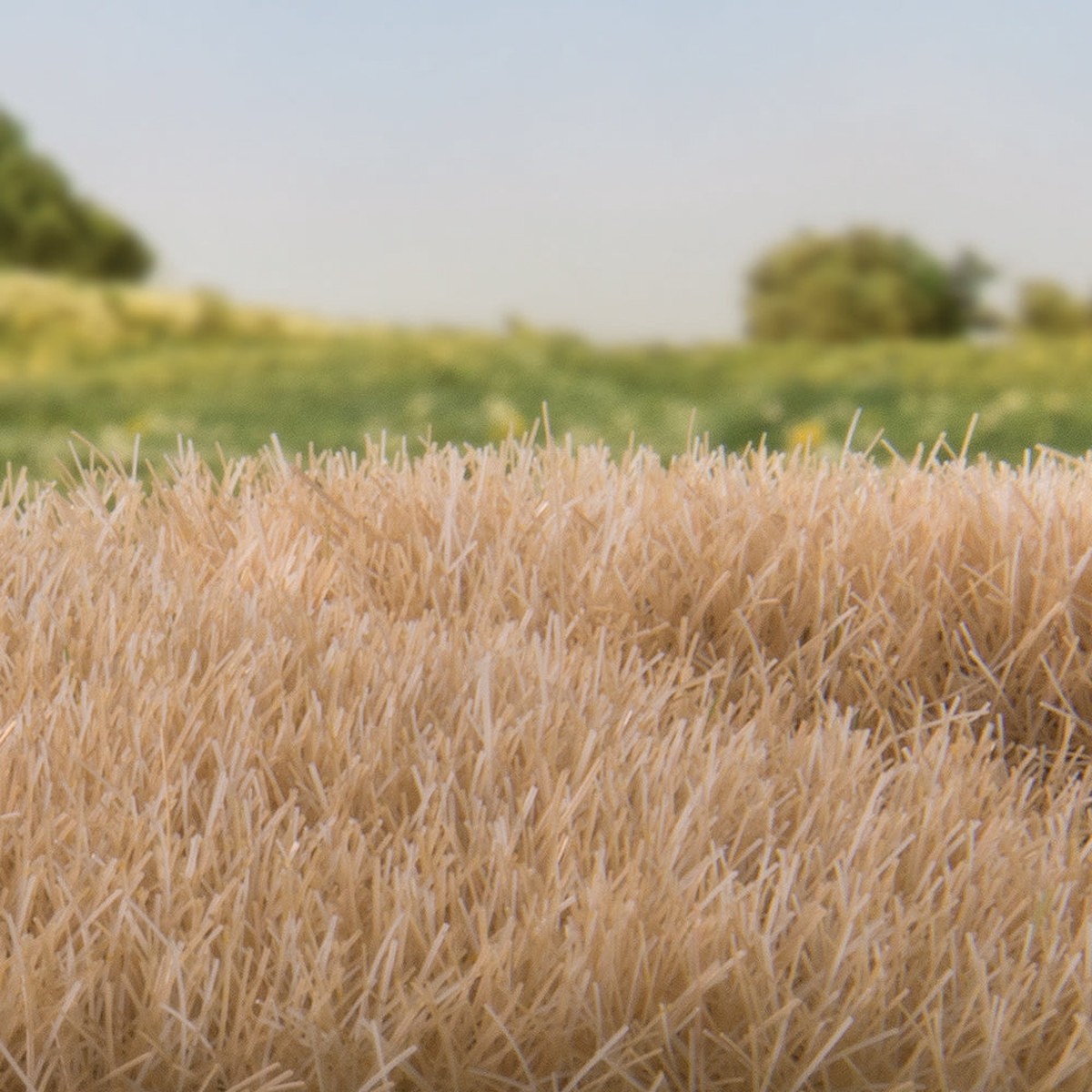 Woodland Scenics 7mm Static Grass Straw