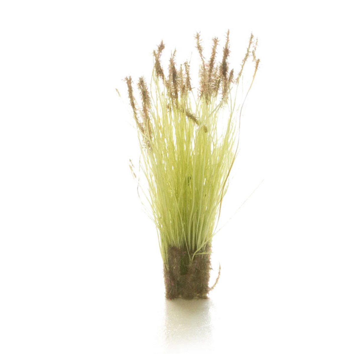 Woodland Scenics Brown Tipped Prairie Grass