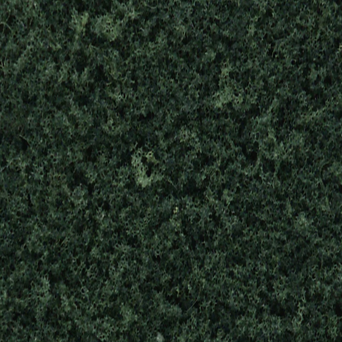 Woodland Scenics Foliage, Dark Green Underbrush (Tub)
