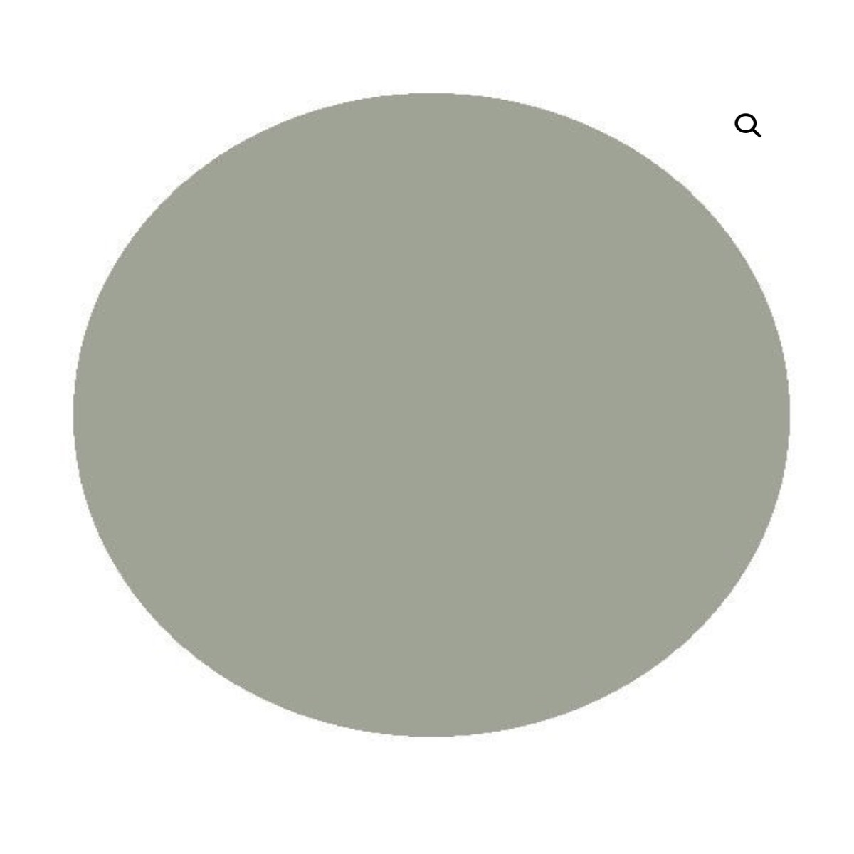 Railmatch Paint - 1604 GWR Freight Grey (150ml aerosol)