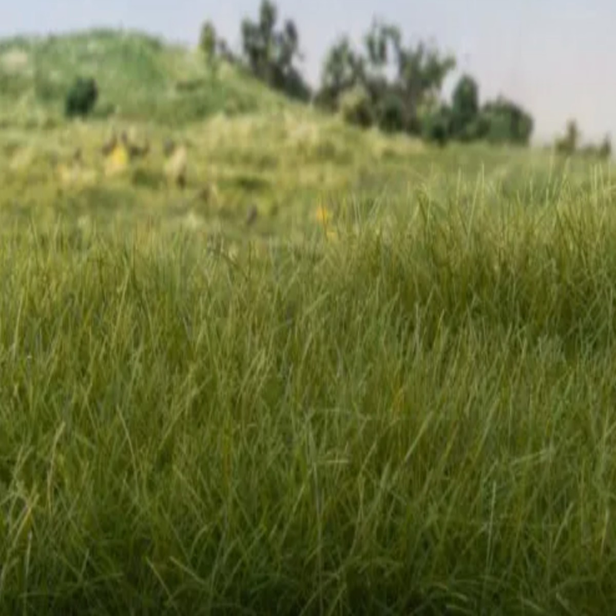 Woodland Scenics 2mm Static Grass Dark Green 1