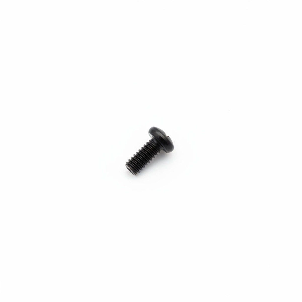 10001 SCREW  M5X12
