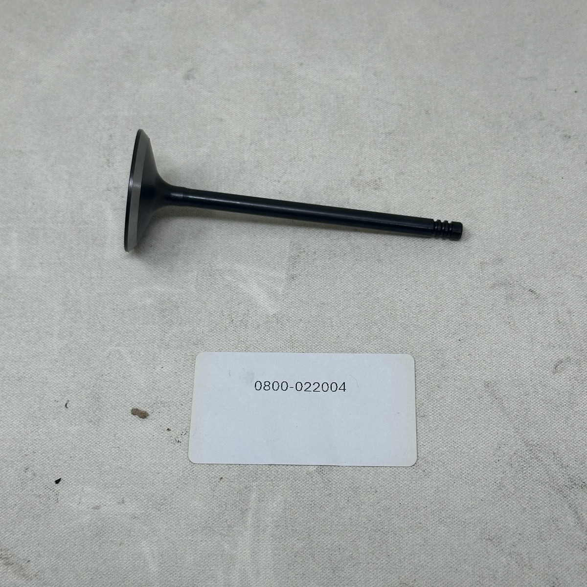 0800-022004 VALVE, INTAKE