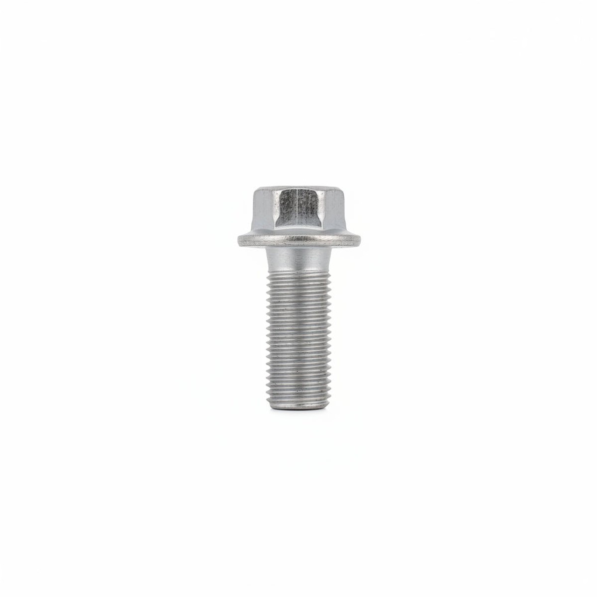 01256120306 Hexagon Flange Bolt